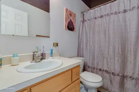 Bath - 175 Kevin Dr, Diamond, IL 60416 photo 3 of 3