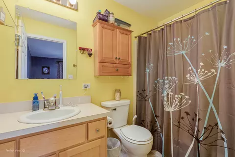 Bath - 175 Kevin Dr, Diamond, IL 60416 photo 2 of 3