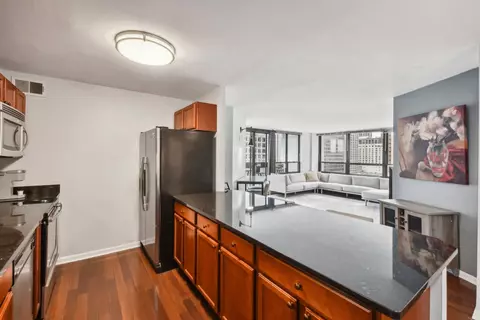 Kitchen - 222 E Pearson St #1808, Chicago, IL 60611 photo 3 of 6