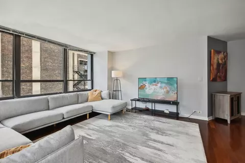 Living - 222 E Pearson St #1808, Chicago, IL 60611 photo 2 of 6