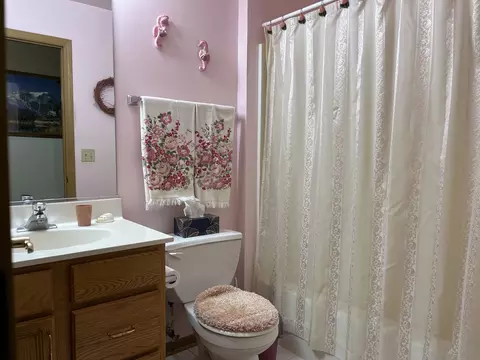 Bath - 1802 Willow Circle Dr, Crest Hill, IL 60403 photo 2 of 2