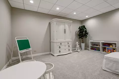 Other - 122 Kraml Dr, Burr Ridge, IL 60527 photo 10 of 15