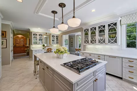 Kitchen - 122 Kraml Dr, Burr Ridge, IL 60527 photo 5 of 5