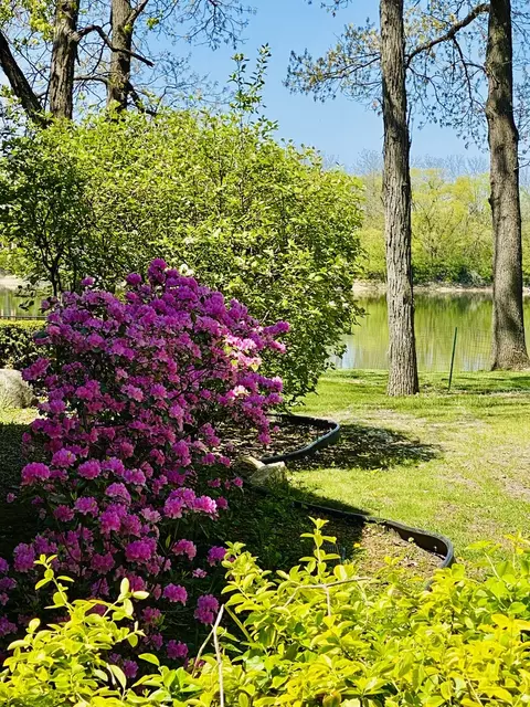 Other - 2 Elmwood Dr, Kankakee, IL 60901 photo 8 of 10