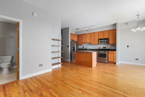 41 E 8th St #3105, Chicago, IL 60605 photo 5