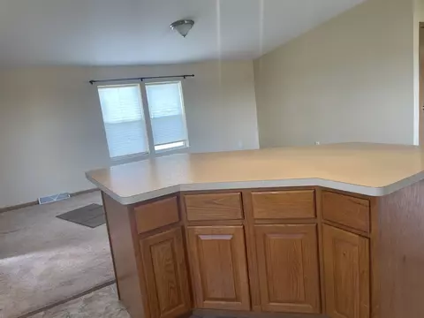 4819 W Augusta Blvd, Monee, IL 60449 photo 3