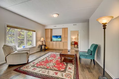 1277 E Thacker St #202, Des Plaines, IL 60016 photo 4