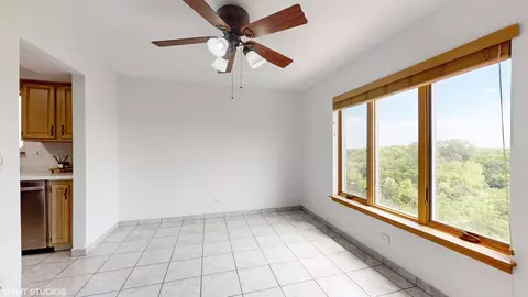 545 S River Rd #705, Des Plaines, IL 60016 photo 13