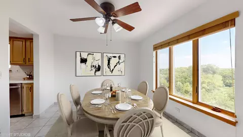 545 S River Rd #705, Des Plaines, IL 60016 photo 14