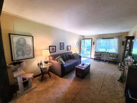 519 Assembly Pl, Dixon, IL 61021 photo 5