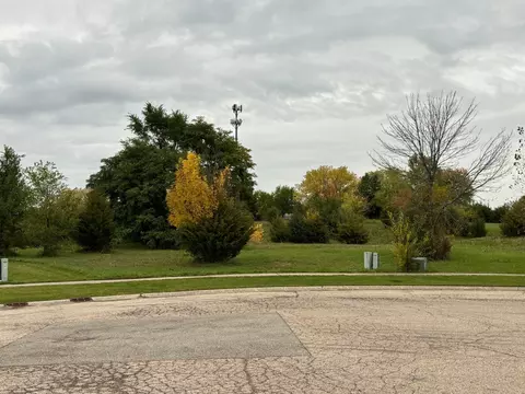 26036 W Larkin Ln, Ingleside, IL 60041 photo 7