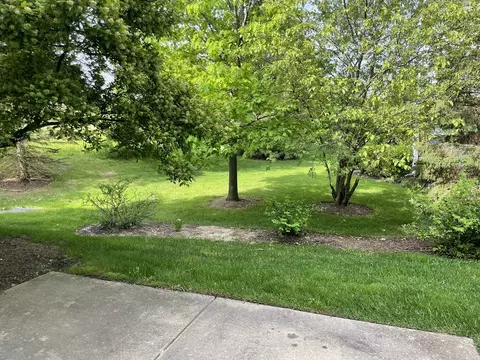 1462 Millbrook Dr, Algonquin, IL 60102 photo 22