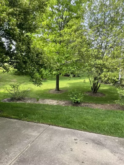 1462 Millbrook Dr, Algonquin, IL 60102 photo 21