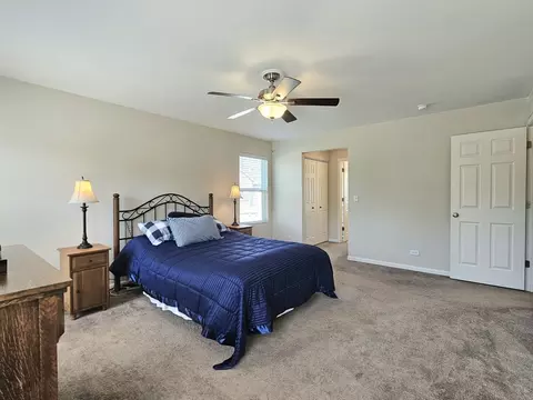 906 Timber Springs Dr, Joliet, IL 60432 photo 13