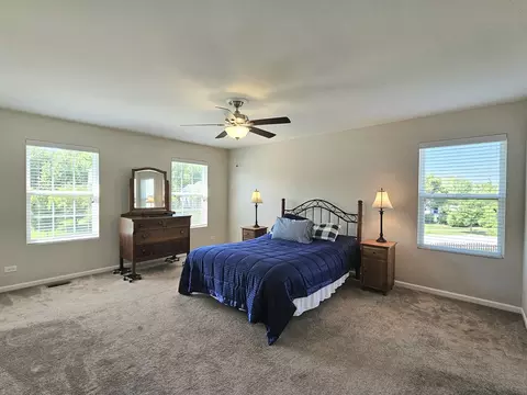 906 Timber Springs Dr, Joliet, IL 60432 photo 12