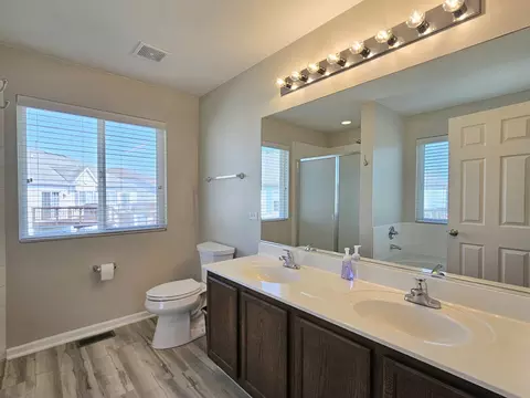 906 Timber Springs Dr, Joliet, IL 60432 photo 15