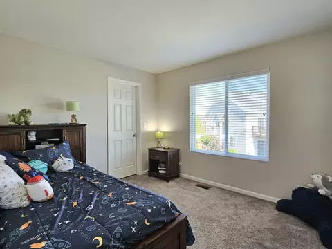 906 Timber Springs Dr, Joliet, IL 60432 photo 17