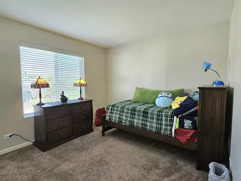 906 Timber Springs Dr, Joliet, IL 60432 photo 18