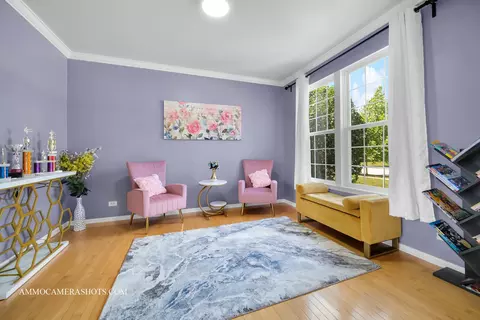 Other - 24657 Generation Dr, Plainfield, IL 60585 photo 1 of 11