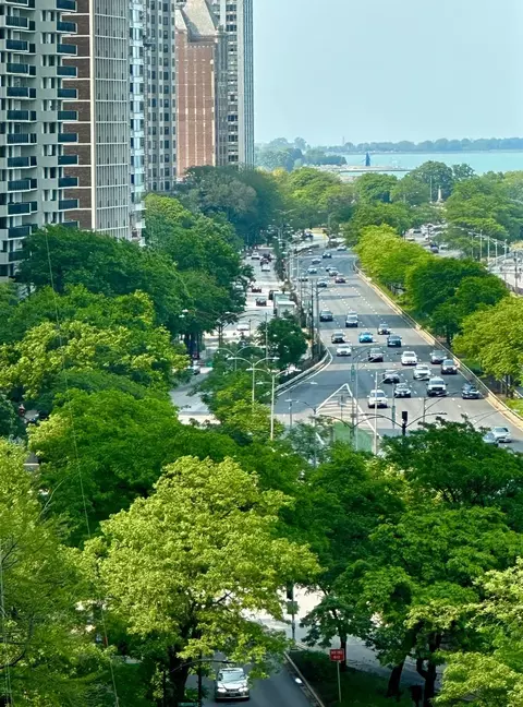 View/Area - 159 E Walton Pl #8A, Chicago, IL 60611 photo 1 of 1