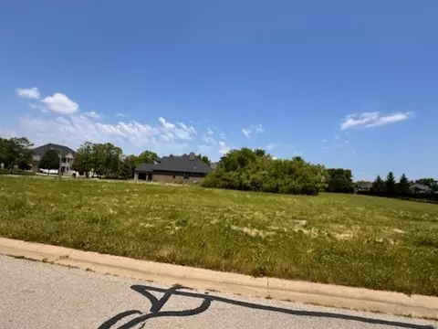 16217 Gamay Dr, Plainfield, IL 60586 photo 4