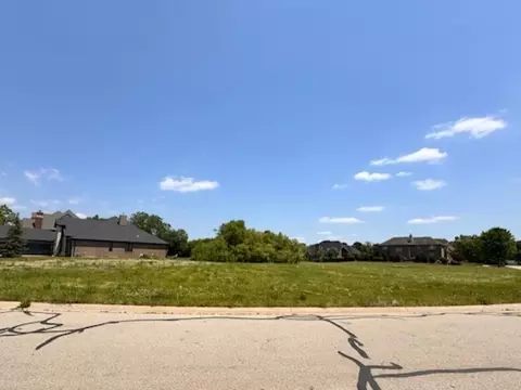 16217 Gamay Dr, Plainfield, IL 60586 photo 3
