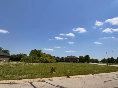 16217 Gamay Dr, Plainfield, IL 60586 photo 2