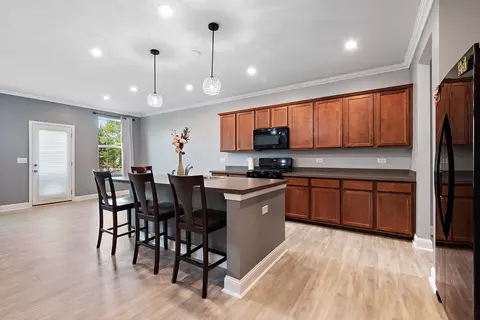 12459 S Compass Ave, Plainfield, IL 60585 photo 9