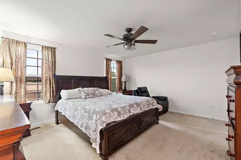 12459 S Compass Ave, Plainfield, IL 60585 photo 18