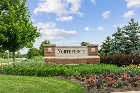 12459 S Compass Ave, Plainfield, IL 60585 photo 30