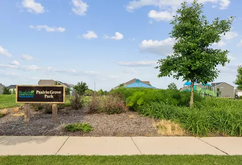 12459 S Compass Ave, Plainfield, IL 60585 photo 31