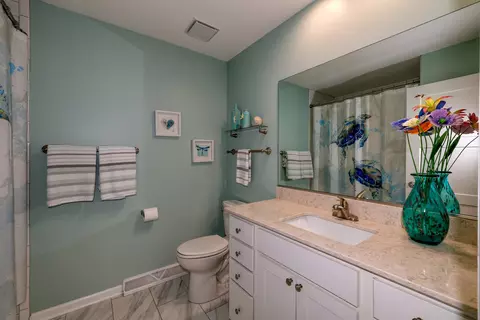 167 Brookside Dr, Elgin, IL 60123 photo 14