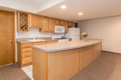 640 Regency Dr, Des Plaines, IL 60016 photo 25