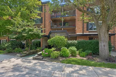 1107 S Old Wilke Rd #205, Arlington Heights, IL 60005
