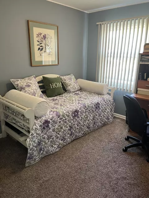 Other - 910 La Jolla Ter, Bartlett, IL 60103 photo 3 of 4