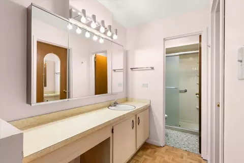 Bath - 7510 Farmingdale Dr #106, Darien, IL 60561 photo 2 of 5