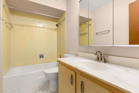Bath - 7510 Farmingdale Dr #106, Darien, IL 60561 photo 1 of 5