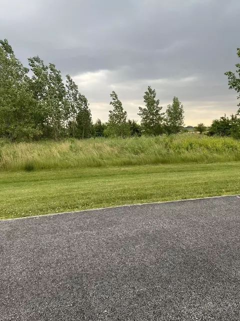 26622 S Wildgrass Turn #LOT 46, Monee, IL 60449