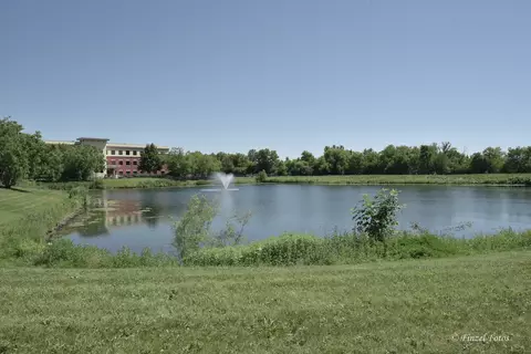 4252 Savoy Ln, Mchenry, IL 60050 photo 14