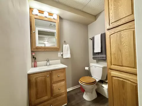 Bath - 16439 Edgewood Dr, Plainfield, IL 60586 photo 7 of 8