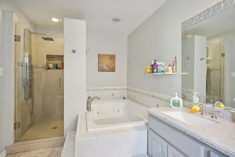 Bath - 42 Gale Ave, River Forest, IL 60305 photo 6 of 7