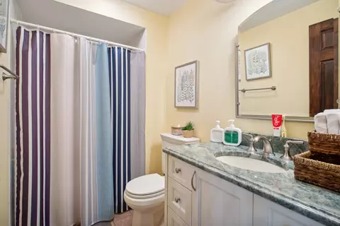 Bath - 42 Gale Ave, River Forest, IL 60305 photo 1 of 7