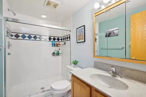 Bath - 42 Gale Ave, River Forest, IL 60305 photo 7 of 7