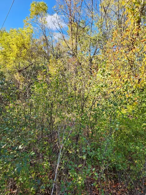 27 W0s Roosevelt Rd, Winfield, IL 60190