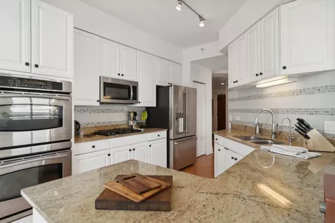 233 E 13th St #1106, Chicago, IL 60605 photo 13