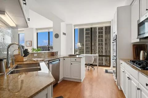 233 E 13th St #1106, Chicago, IL 60605 photo 12