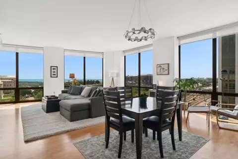 233 E 13th St #1106, Chicago, IL 60605 photo 3