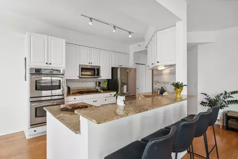 233 E 13th St #1106, Chicago, IL 60605 photo 11