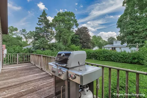 6604 Pheasant Trl, Cary, IL 60013 photo 26