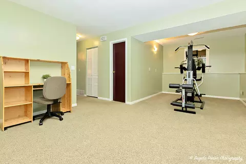 6604 Pheasant Trl, Cary, IL 60013 photo 23